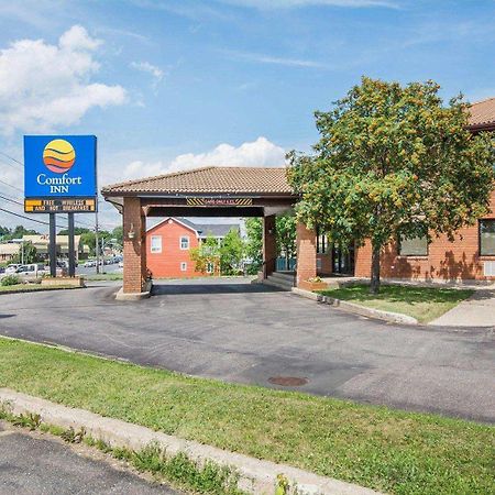 Comfort Inn Bathurst Buitenkant foto
